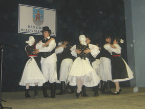 Kulturno-umjetnički program povodom Dana Grada
